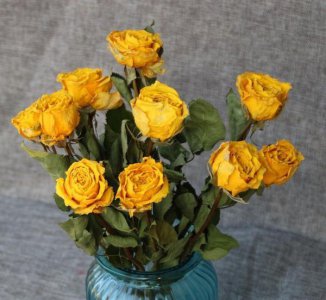 怎么做干花可以保持颜色 做干花保持花的原色技巧