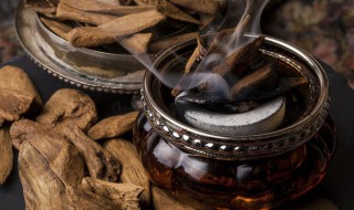 沉香什么地方适合种植 沉香一般在什么地方种植