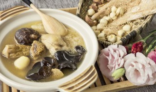 产后鸽子汤怎么炖好有营养 产后鸽子汤的做法