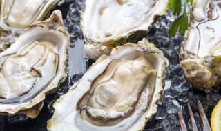 新鲜的生蚝怎么处理 新鲜的生蚝怎么洗