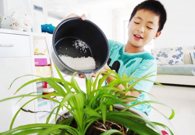 长期用淘米水洗脸有什么坏处影响 淘米水能用来洗脸吗