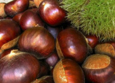 迁西板栗成熟时间 迁西板栗什么时候成熟