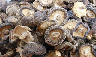 干香菇长虫了还能吃吗 干香菇长虫子了还可以吃吗