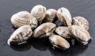 蛤蜊几月份吃最好 蛤蜊肥美的月份