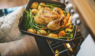 恒温烤箱是什么 恒温烤箱资料