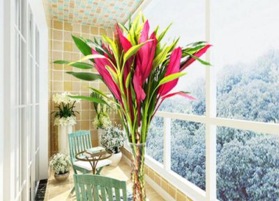 十大名贵竹子品种有哪些 中国最珍贵的稀有竹子品种