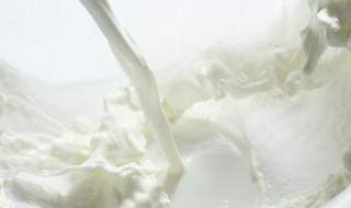 牛奶浇花的好处和坏处 牛奶浇花有哪些好处和坏处