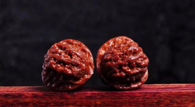 文玩核桃50种大全 文玩核桃的品种介绍和图片