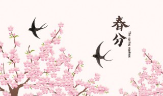 春分当天可以算命吗 春分当天能不能算命