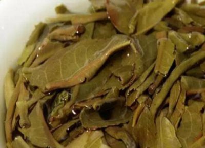 普洱茶渣做肥料 普洱茶渣可以做肥料吗