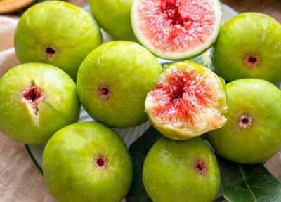 无花果树怎样种植才能多结果 无花果栽培种植技术过程