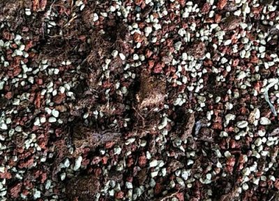 养花配土方案都有哪些呢 养花用什么土最好?知道这些配土方式