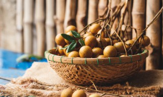 新鲜桂圆放哪保存最好 如何保存新鲜桂圆