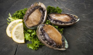 什么清蒸的又好吃又营养 这样清蒸的鲍鱼好吃又营养