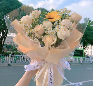 适合送朋友的花及花语 5种适合送给普通朋友的花