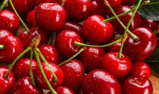 樱桃牛奶可以一起吃吗 樱桃牛奶能不能一起吃