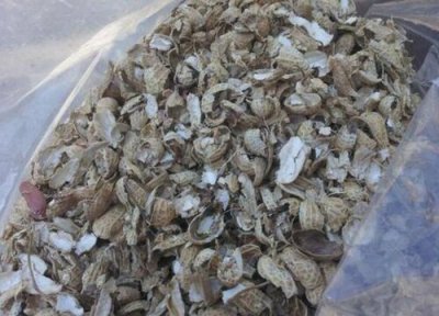 花生壳养兰花可直接用吗 花生壳养护兰花靠不靠谱？养护方法？