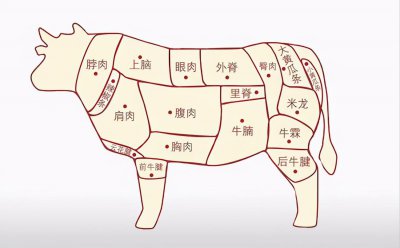 牛腩和牛腱子肉哪个好吃 牛腱子部位牛肉建议买吗
