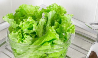 生菜煮多久 生菜需要煮几分钟