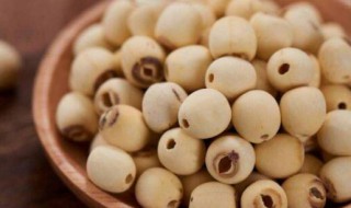 莲子是凉性还是热性的 莲子是什么性