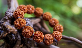 老树根手串保养方法 老树根手串怎么保养