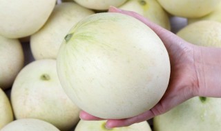 三水香瓜怎么挑比较甜 三水香瓜如何挑选甜的呢