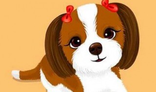 属狗的佩戴什么生肖好 属狗的佩戴哪种生肖好