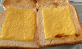 干酪片可以直接吃吗 干酪片能不能直接食用