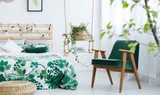 适合北方的盆栽有哪些 北方适合什么盆栽花卉