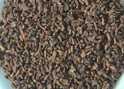 菊花种子怎么育苗 菊花种子怎么种植方法