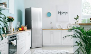 冰冻兔腿解冻要多久 冰冻兔腿解冻要多长时间