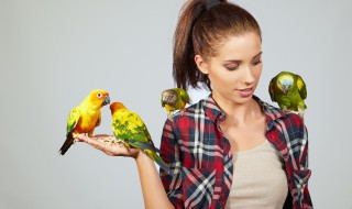 鸟能不能带上轻轨 鸟可不可以带上轻轨