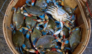 毛蟹怎么保鲜 毛蟹怎么保存