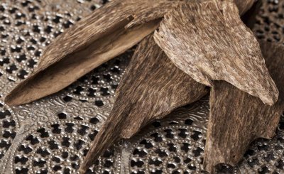 世界十大沉香排名 全球最好的沉香的种类介绍及排名