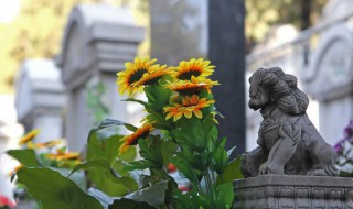 清明去烈士陵园扫墓需要做什么 去烈士陵园扫墓的注意事项