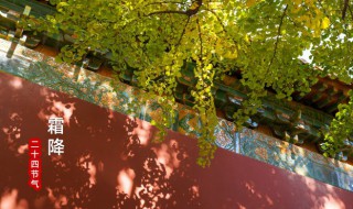 霜降问候短信 霜降送祝福短信