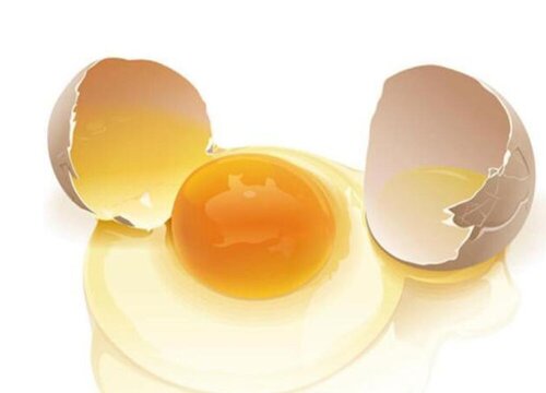 鸡蛋可以做肥料吗