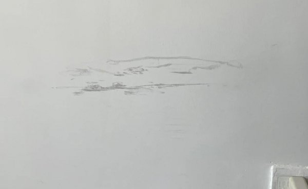 乳胶漆和墙布哪个更好看更实用