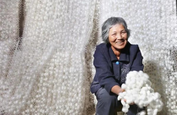 柞蚕丝和桑蚕丝做被哪个比较好一点