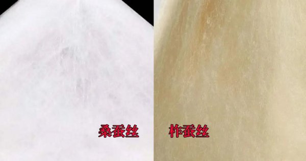 柞蚕丝和桑蚕丝做被哪个比较好一点