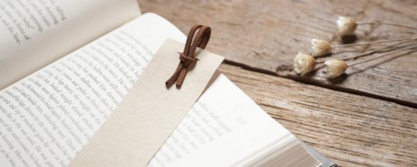 DNA分子结构是什么