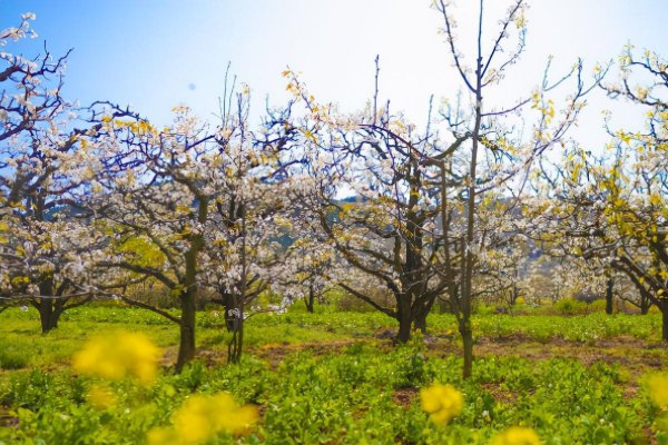安徽淮南是几线城市啊