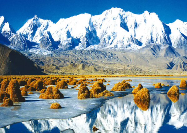 新疆特产必买清单详细介绍