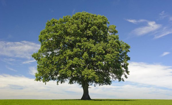 站在道德制高点指责别人是最大的恶吗