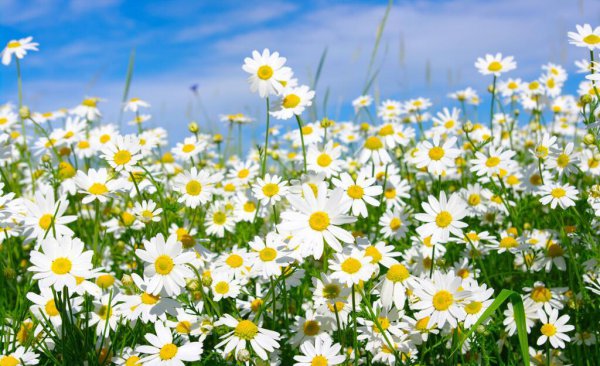 站在道德制高点指责别人是最大的恶吗