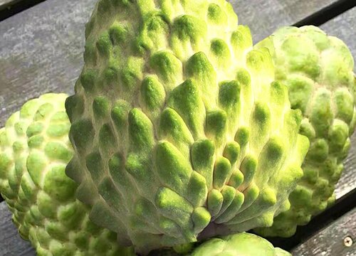 释迦果怎么判断熟没熟