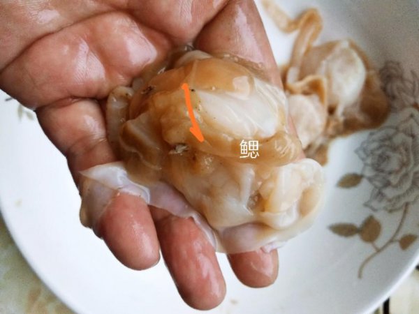 扇贝哪里要去掉