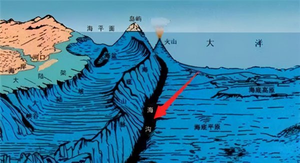 海拔是什么意思解释