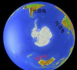 乌龟生活在哪里