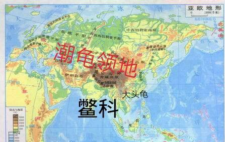 乌龟生活在哪里